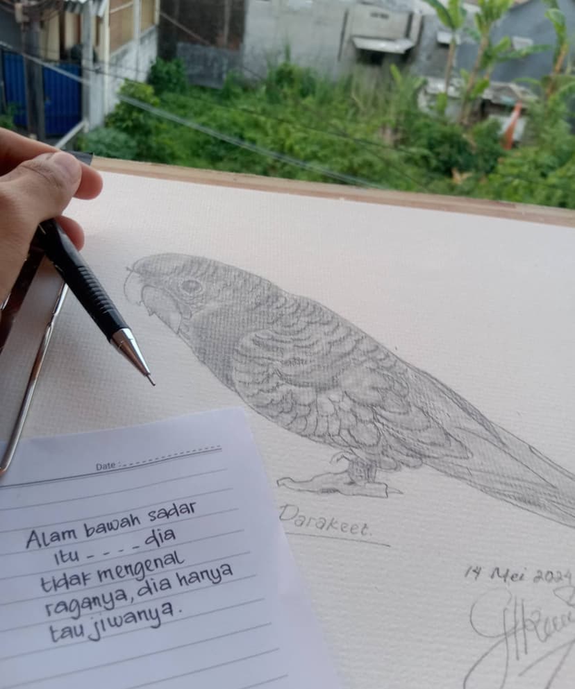 Sketsa Burung Parkit